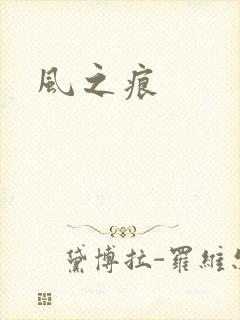 风之痕封面