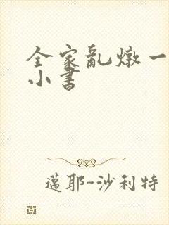 全家乱炖一锅烩小书