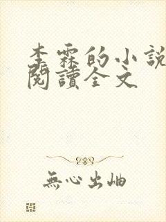 李霖的小说免费阅读全文