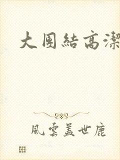 大团结高洁封面