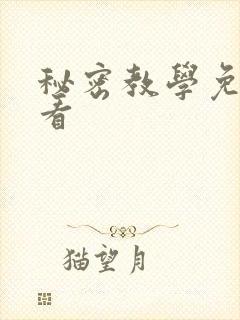秘密教学免费观看