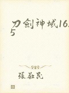 刀剑神域16.5