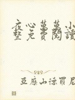 夜心万万小说完整免费阅读全文