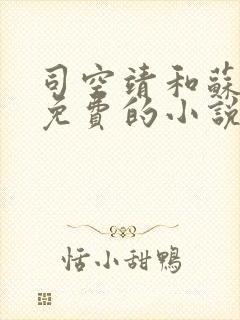 司空靖和苏月汐免费的小说笔趣阁