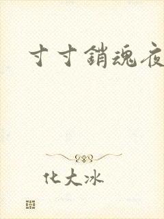 寸寸销魂夜春光