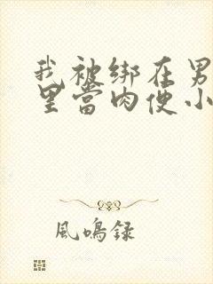 我被绑在男公厕里当肉便小说