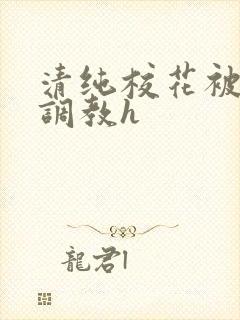 清纯校花被地狱调教h封面