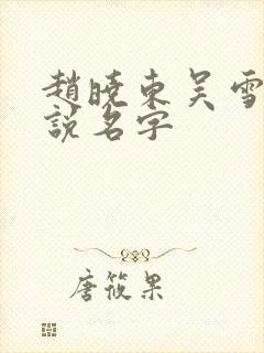 赵晓东吴雪晴小说名字