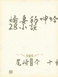娇妻的呻吟1—28小说