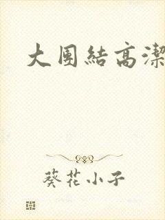 大团结高洁