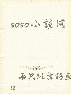 soso小说网