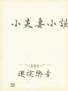 小夫妻小说封面