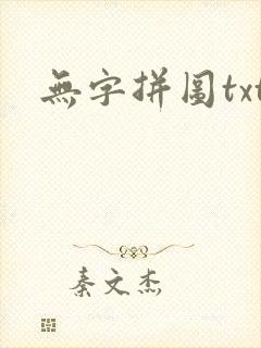 无字拼图txt封面