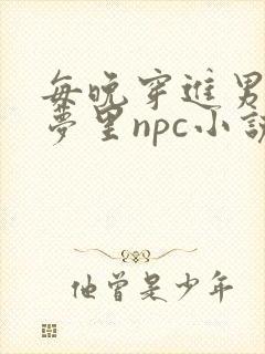 每晚穿进男神的梦里npc小说