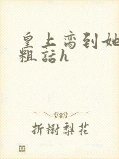 皇上脔到她哭h粗话h封面