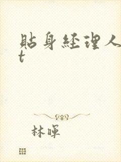 贴身经理人txt封面