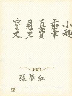 宝贝真乖小说全文免费笔趣阁封面