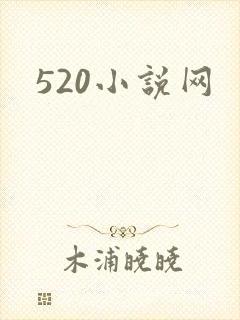520小说网