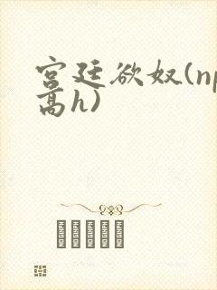 宫廷欲奴(np高h)