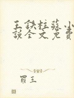 王铁柱苏小汐小说全文免费阅读最新章节