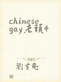 chinesegay老头4封面
