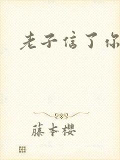 老子信了你的邪