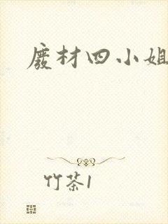 废材四小姐封面