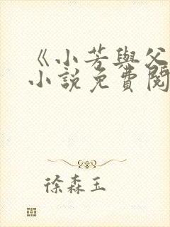 《小芳与父亲》小说免费阅读封面