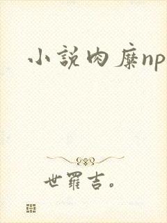 小说肉糜np