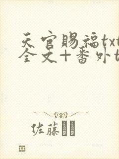 天官赐福txt全文+番外txt下载封面