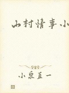 山村情事小说