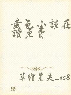 黄色小说在线阅读免费