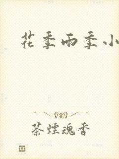 花季雨季小说