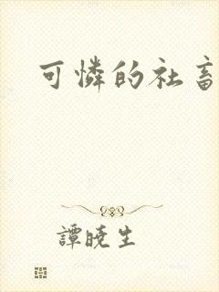 可怜的社畜分手