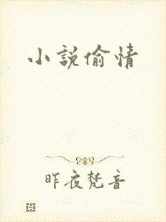 小说偷情