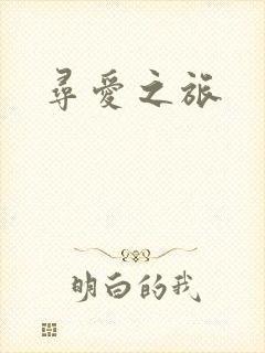 寻爱之旅封面