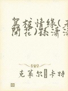 驾校情缘(老树开花)孙潇潇笔趣阁