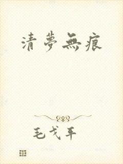 清梦无痕封面