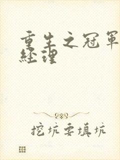 重生之冠军篮球经理封面