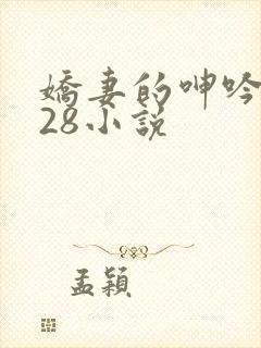 娇妻的呻吟1—28小说