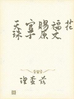 天官赐福花怜塞珠子原文