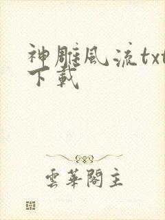 神雕风流txt下载