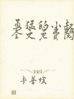 勇猛的小叔小说全文免费阅读