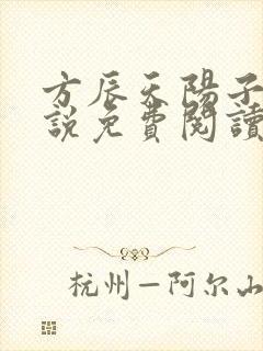方辰天阳子的小说免费阅读