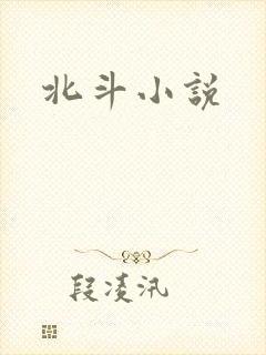 北斗小说