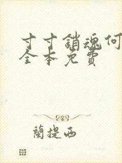 寸寸销魂何生祥全本免费