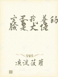 完蛋我养的小白脸是大佬