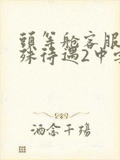 头等舱客服的特殊待遇2中字