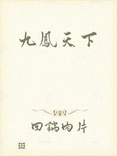 九凤天下