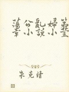 荡公乱妇第51章小说小莹